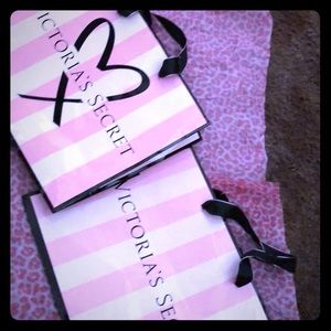 Victoria Secret Shopping bags